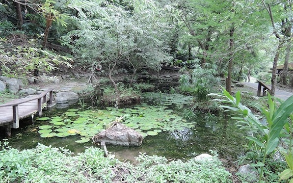 「知本森林遊樂區」Blog遊記的精采圖片