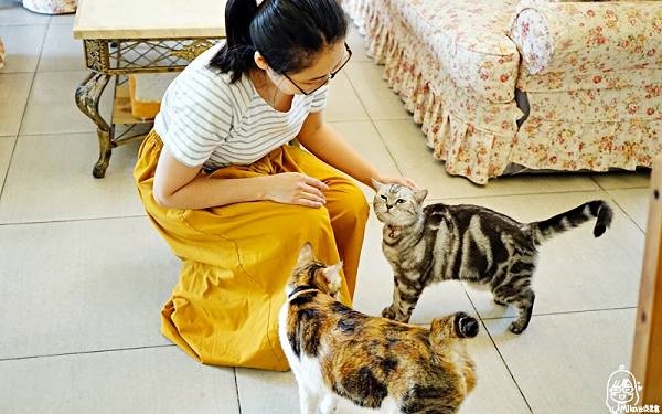 台東民宿「小貓兩三隻」Blog遊記的精采圖片